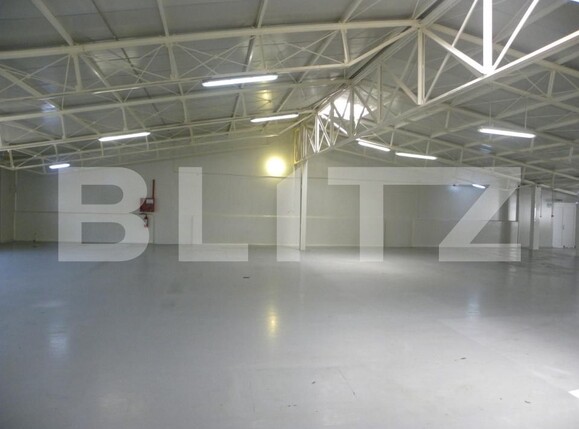 Spațiu industrial de închiriat Carcea  - 179787SII | BLITZ Craiova | Poza1