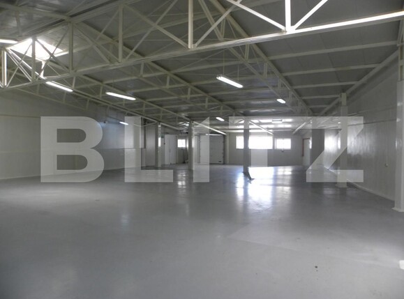 Spațiu industrial de închiriat Carcea  - 179787SII | BLITZ Craiova | Poza2