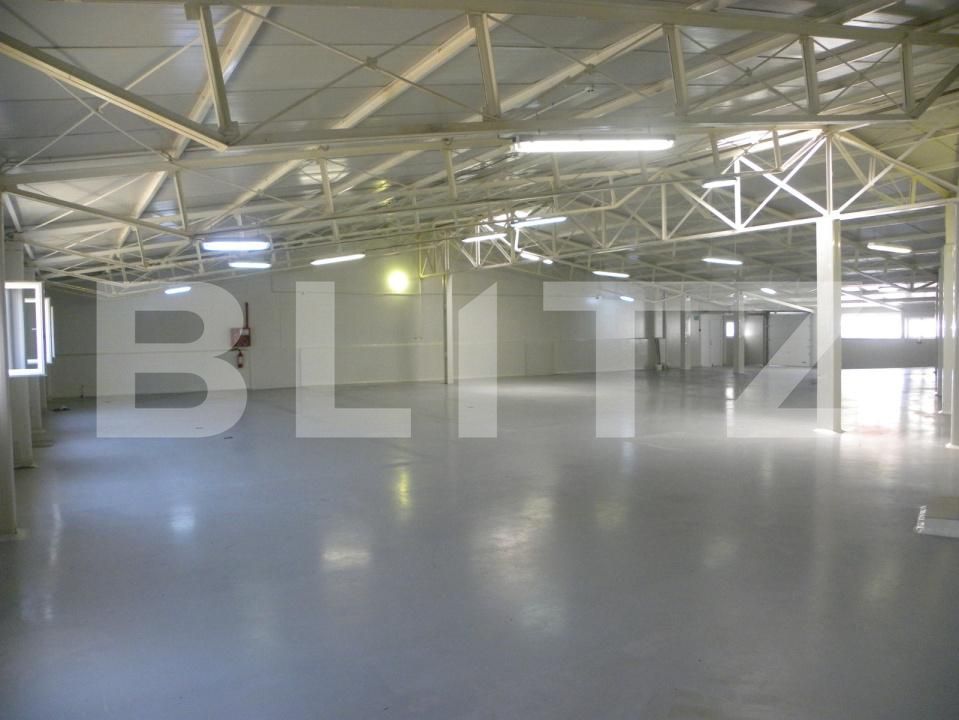 Spațiu industrial de închiriat Carcea  - 179787SII | BLITZ Craiova | Poza3