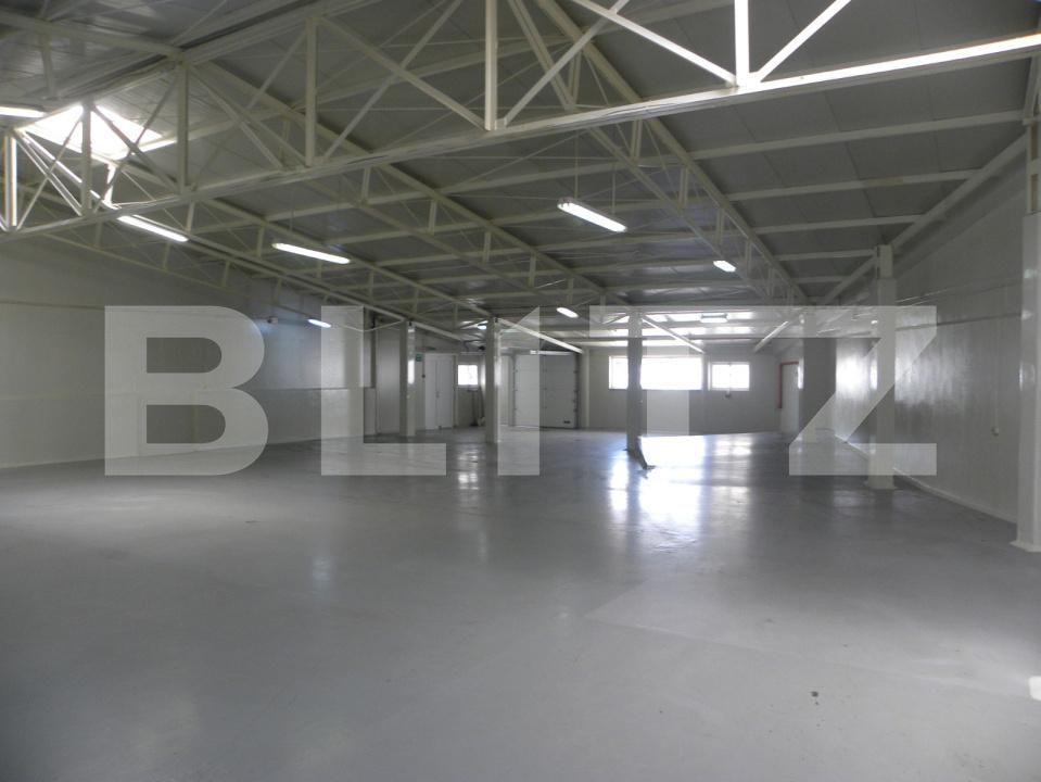Spațiu industrial de închiriat Carcea  - 179787SII | BLITZ Craiova | Poza2
