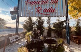 preluare afacere – Complex Restaurant Popasul Lui Radu, Brădești