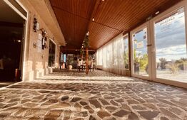 preluare afacere – Complex Restaurant Popasul Lui Radu, Brădești