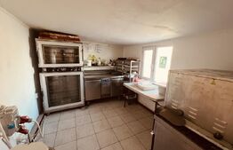 preluare afacere – Complex Restaurant Popasul Lui Radu, Brădești