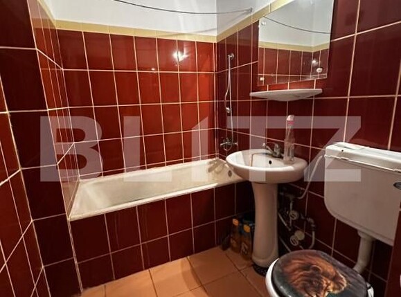 Garsonieră de vânzare Brazda lui Novac - 179911AV | BLITZ Craiova | Poza4