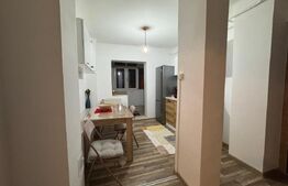 Apartament de inchiriat, 65 mp, zona 1 Mai