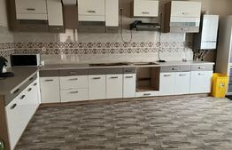 Casa P+1, deschidere bilaterala, 564 mp, Isalnita