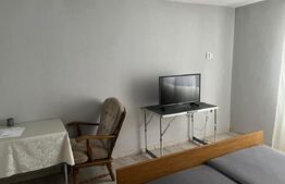 Casa P+1, deschidere bilaterala, 564 mp, Isalnita