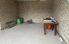 Casa P+1, deschidere bilaterala, 564 mp, Isalnita