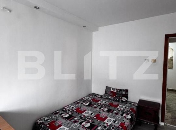 Apartament de închiriat 3 camere Lapus Arges - 180017AI | BLITZ Craiova | Poza4