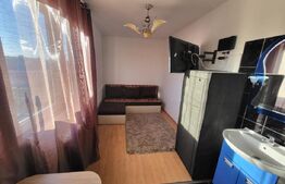 Camera de camin, zona Valea Rosie