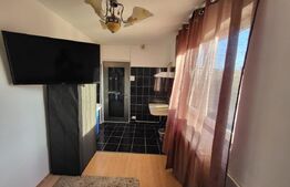 Camera de camin, zona Valea Rosie