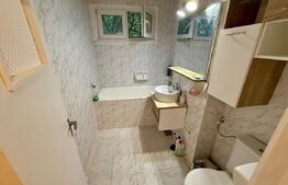 Apartament cu 2 camere, 55 mp, Brazda Lui Novac