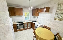 Apartament cu 2 camere, 55 mp, Brazda Lui Novac