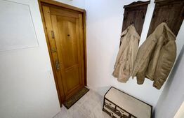 Apartament cu 2 camere, 55 mp, Brazda Lui Novac