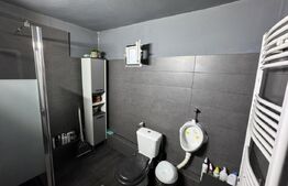 Casa parter, 58.75 mp, cartier Brestei 