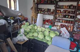 Casa 160mp, teren 863 mp, zona Brestei