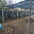 Casa de vânzare 7 camere Brestei - 180117CV - Poza 1 din 21 | BLITZ Craiova | Poza18