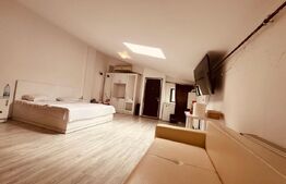 Apartament 1 camera, 55 mp, zona Ultracentral