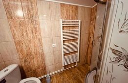 Apartament 1 camera, 55 mp, zona Ultracentral