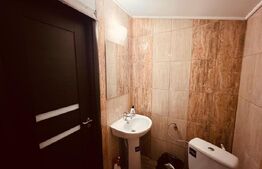 Apartament 1 camera, 55 mp, zona Ultracentral