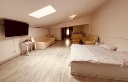 Apartament 1 camera, 55 mp, zona Ultracentral