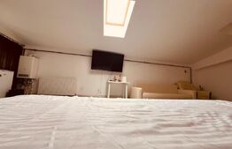 Apartament 1 camera, 55 mp, zona Ultracentral