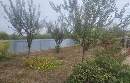 CASA P+M , 150 mp, TEREN 3000 MP ,FILIASI( FRATOSTITA) TOATE UTILITATILE