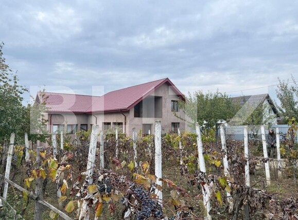 Casa de vânzare 7 camere Filiaşi - 180224CV | BLITZ Craiova | Poza3