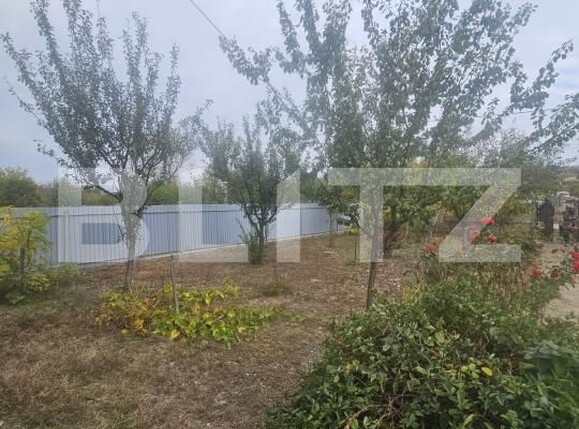 Casa de vânzare 7 camere Filiaşi - 180224CV | BLITZ Craiova | Poza13