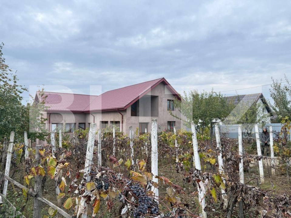 Casa de vânzare 7 camere Filiaşi - 180224CV | BLITZ Craiova | Poza3