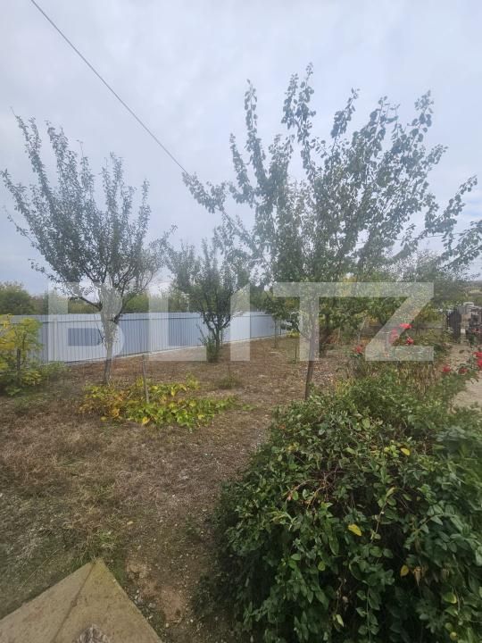 Casa de vânzare 7 camere Filiaşi - 180224CV | BLITZ Craiova | Poza13