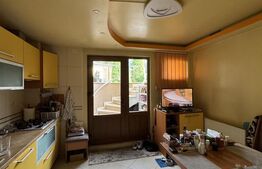 Casa Puskin D+P+1E + terasa pamoramica, 225 mp utili, 417 mp teren