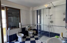 Casa Puskin D+P+1E + terasa pamoramica, 225 mp utili, 417 mp teren