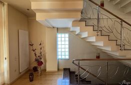 Casa Puskin D+P+1E + terasa pamoramica, 225 mp utili, 417 mp teren