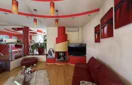 Casa Puskin D+P+1E + terasa pamoramica, 225 mp utili, 417 mp teren