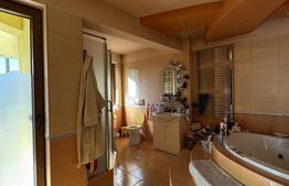 Casa Puskin D+P+1E + terasa pamoramica, 225 mp utili, 417 mp teren