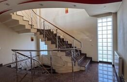 Casa Puskin D+P+1E + terasa pamoramica, 225 mp utili, 417 mp teren