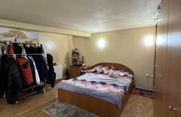 Casa Puskin D+P+1E + terasa pamoramica, 225 mp utili, 417 mp teren