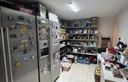 Casa Puskin D+P+1E + terasa pamoramica, 225 mp utili, 417 mp teren