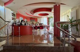 Casa Puskin D+P+1E + terasa pamoramica, 225 mp utili, 417 mp teren