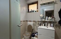 Casa Puskin D+P+1E + terasa pamoramica, 225 mp utili, 417 mp teren