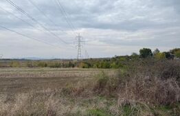 Teren extravilan 8665 mp, Fratostita, Filiasi, COMISION ZERO PENTRU CUMPARATOR