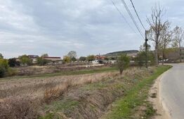 Teren extravilan 8665 mp, Fratostita, Filiasi, COMISION ZERO PENTRU CUMPARATOR