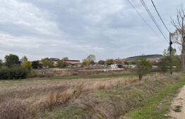 Teren extravilan 8665 mp, Fratostita, Filiasi, COMISION ZERO PENTRU CUMPARATOR
