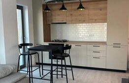 Apartament cu 2 camere si terasa de 25 m in Brazda lui Novac