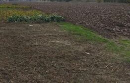 Teren intravilan, Isalnita, 15m deschidere, 1956mp