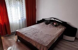 Apartament 2 camere 1 Mai Insula 