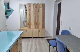 Apartament 2 camere 1 Mai Insula 