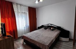 Apartament 2 camere 1 Mai Insula 