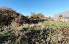 Teren intravilan POT 80%, Carcea 3081 mp, zona Metro / Robest